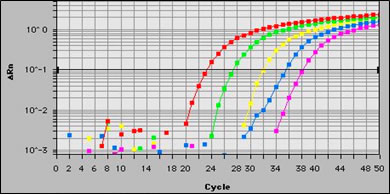 BCR/ABL Expression levels graph