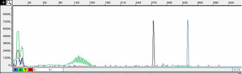 PCR graph