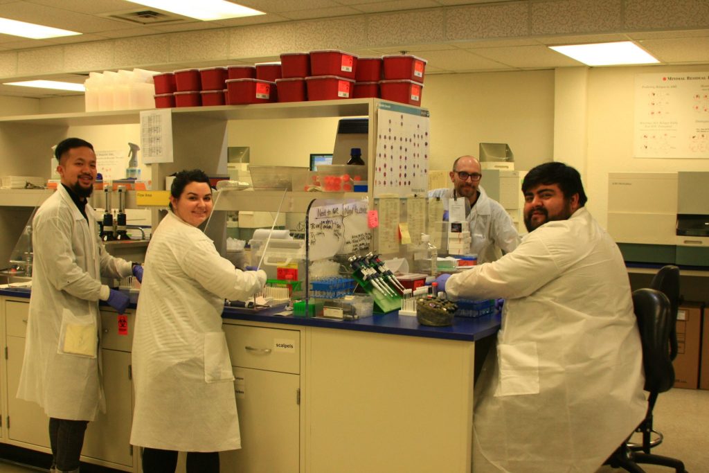 Lab Staff 2 2019